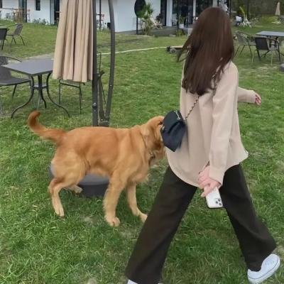 特维和他的七个女儿